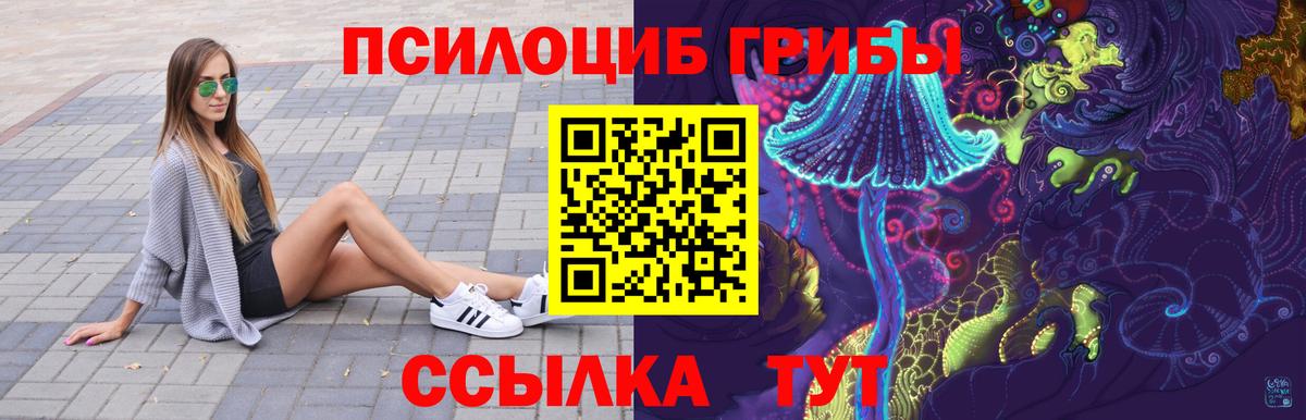 Кудрово  Галлюциногенные грибы ЛСД  Вход с VPN  Галлюциногенные грибы мухоморы 